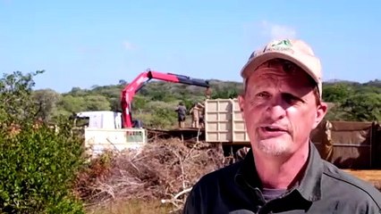 After 40 years, rhinos return to Mozambique