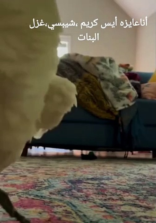 https://youtube.com/shorts/9e_auij_DbQ?feature=share