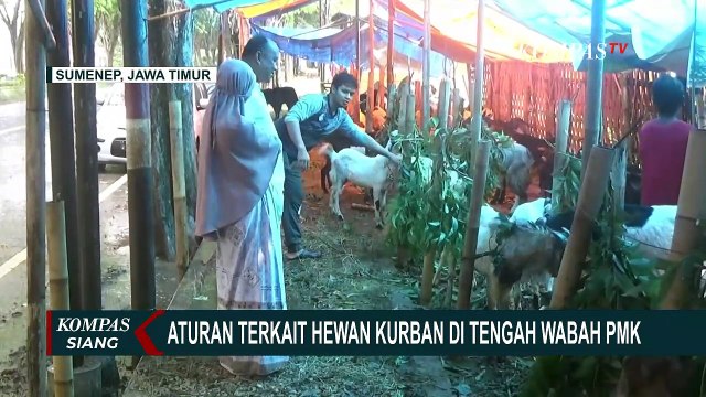 Akibat Wabah PMK, Penjualan Hewan Kurban Ikut Terdampak