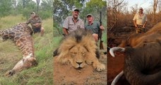 Ce chasseur controversé, qui aimait s'exhiber avec des dépouilles de lions et d'éléphants en guise de trophées, a été abattu