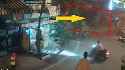 Bangaloreನ BTM Layout ನಲ್ಲಿ ದೊಡ್ಡ ಮರ ಉರುಳಿ ಬಿದ್ದ ಭಯಾನಕ ದೃಶ್ಯ ಇಲ್ಲಿದೆ | *Cricket | OneIndia Kannada