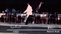 فيديو نادر للاسكندرية بالألوان الطبيعية سنة 1950