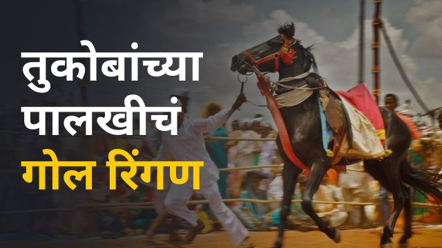 Ashadhi Wari 2022: अकलूजमध्ये संत तुकोबांच्या पालखीचं पहिलं गोल रिंगण