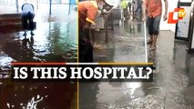 Hospital Flooded After Following Rainfall In Odisha
