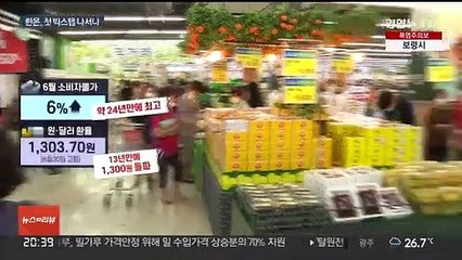 물가·환율 고공행진…한은, 두 달 연속 빅스텝하나