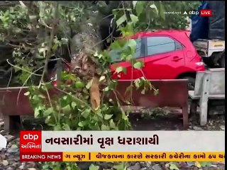 નવસારી: વેજલપુર ફાટક પાસે વૃક્ષ ધરાશાયી થતા વાહનોને નુકશાન