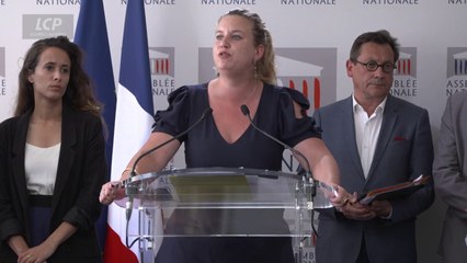 M. Panot (LFI) évoque la proposition de loi de la Nupes "visant à répondre à l'urgence sociale" - 05/07/2022