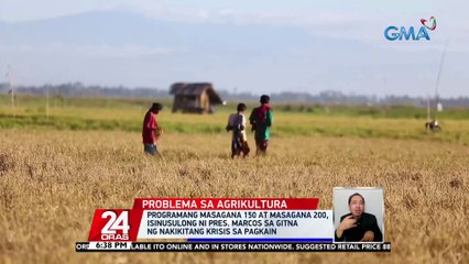 Bantay Bigas, nanawagang bigyan ng subsidiya ang mga magsasaka ngayong planting season para dumami ang ani | 24 Oras