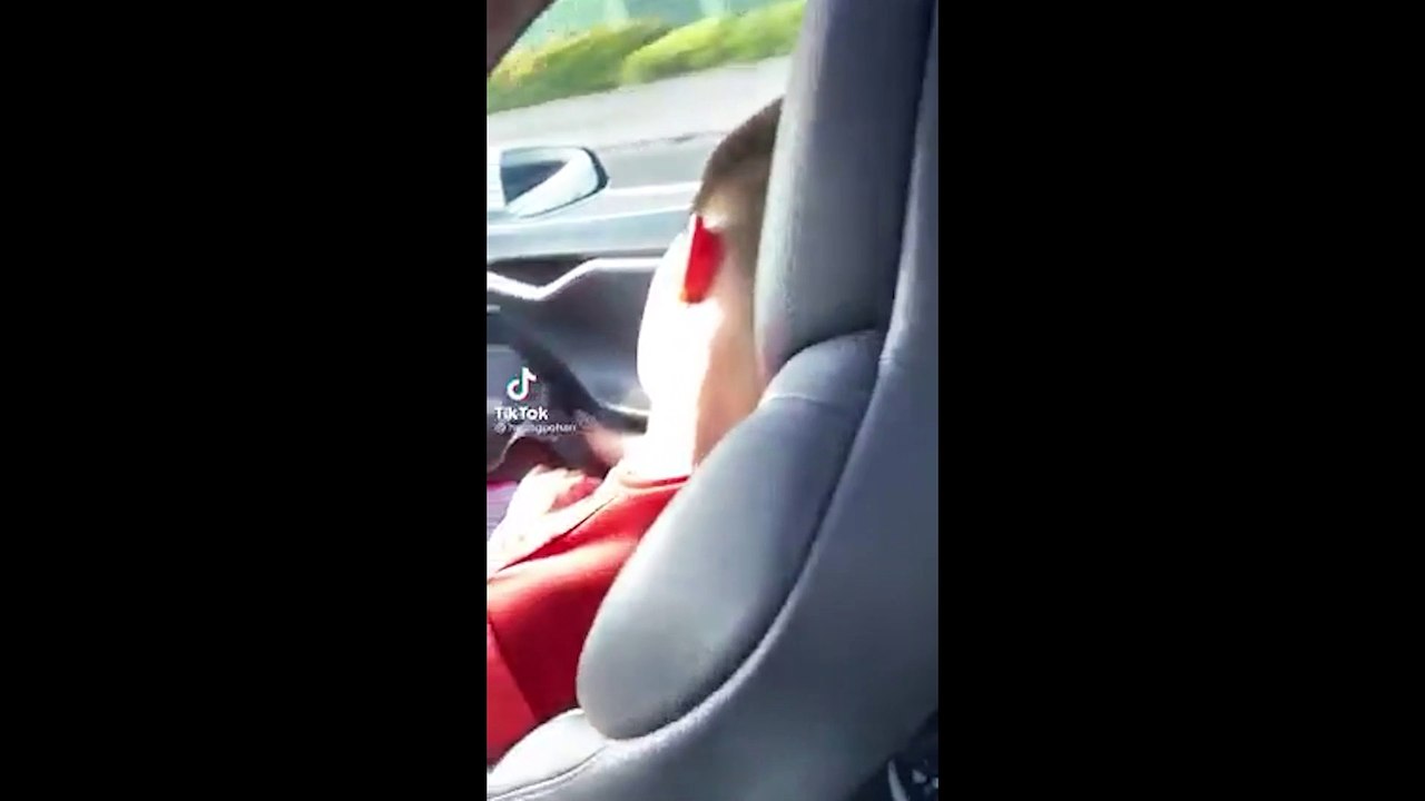 男拍下開特斯拉整車人爽睡 網酸：睡到陰間自然有人叫醒