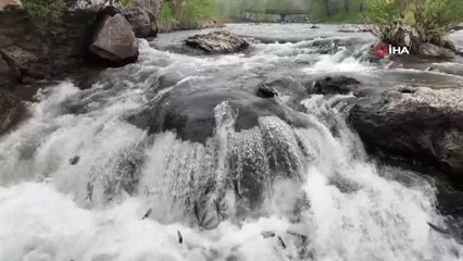 Van'da av yasağında 110 ton inci kefali ele geçirildi