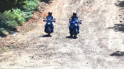 KARTAL AYDOS ORMANI'NDA DENETİM