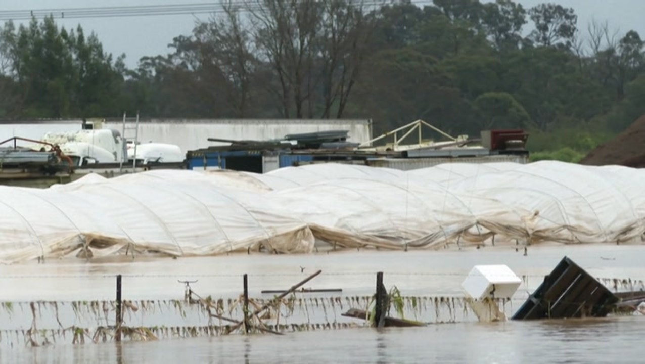 Torrential flooding continues in Sydney