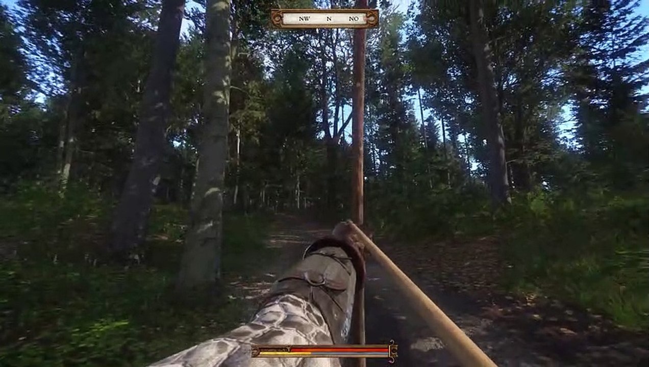 Hinterhalt im Hinterwald. Kingdom Come: Deliverance #40 (Part 2)