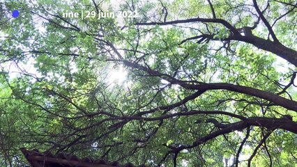 A Kiev, une clinique pour soigner le traumatisme de la guerre