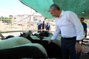 Şahinbey'de kurban satış ve kesim yerleri belirlendi