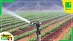 Kisan Bulletin - कृषि विभाग की सलाह ना मानना किसानों को पड़ा भारी, दोबारा करनी पड़ेगी खरीफ फसलों की बुवाई - Agri News