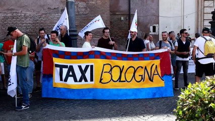 Roma, migliaia di tassisti in corteo: "Difendiamo il nostro lavoro, non chiamateci lobby"