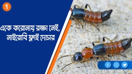 একে করোনায় রক্ষা নেই, নাইরোবি ফ্লাই দোসর |OneIndia Bengali