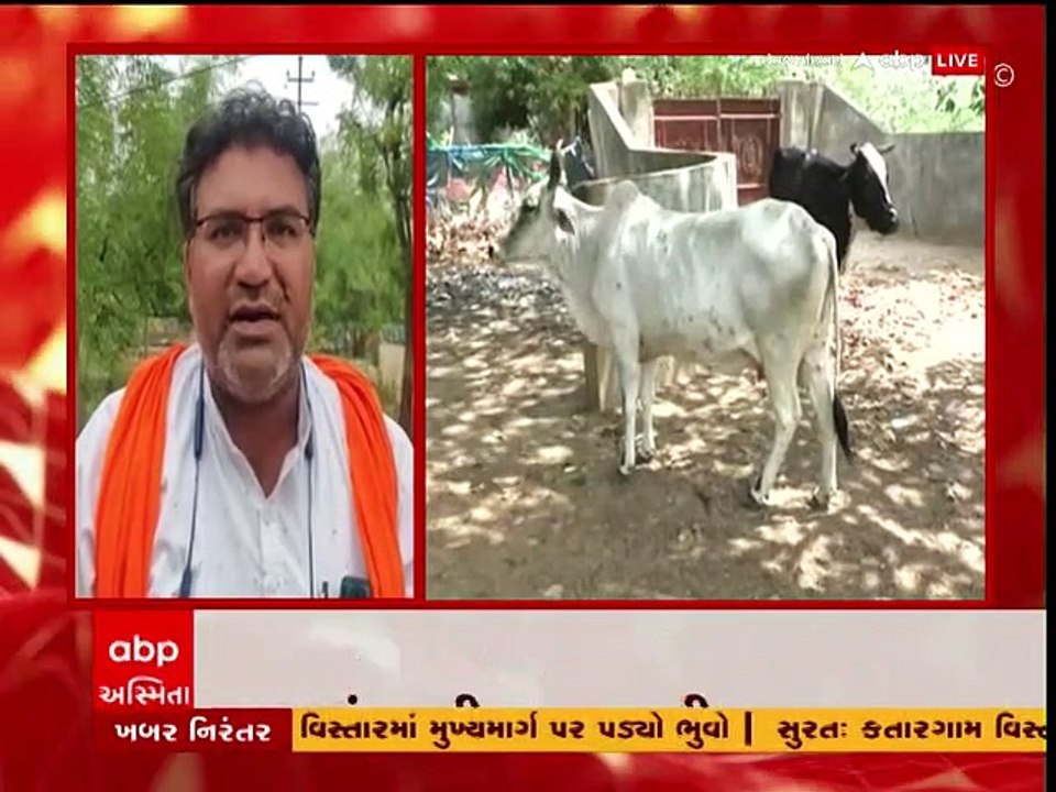 કચ્છ: ગાયોમાં ફેલાયો લમ્પી વાયરસ, પશુપાલન વિભાગ આવ્યું હરકતમાં