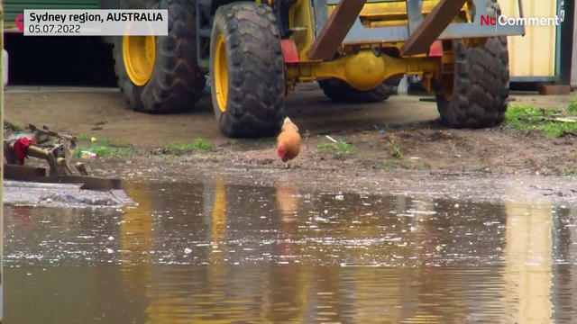 Inondations spectaculaires en Australie