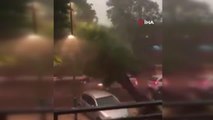 İtalya'yı fırtına vurdu: 1 ölüAğaç yoldan geçen aracın üzerine devrildi