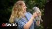 Animal lovers give helping hand to abandoned baby seaguls