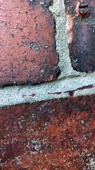 Dude Gets Startled at His Door