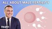 Urologist Breaks Down Male Fertility: Sperm Count, Varicoceles, and Treatment | Ask An Expert
