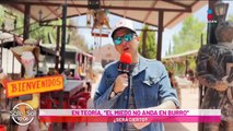 Burrolandia: Santuario dedicado a la crianza de los burritos