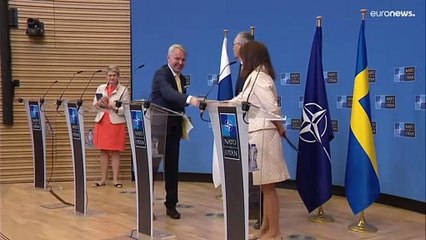 Sweden and Finland's NATO accession 'to be fastest in history'