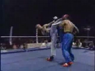 Dominique Valera vs Bill Wallace (Paris 1992)