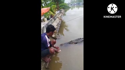 PAK AMBO NYUAPIN BUAYA