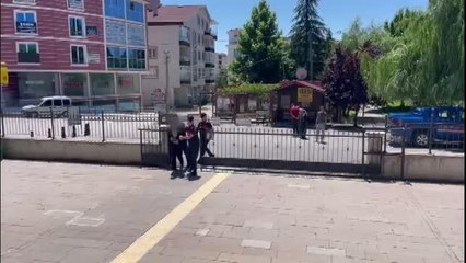 Çubuk'ta 84 kök Hint keneviri ele geçirildi
