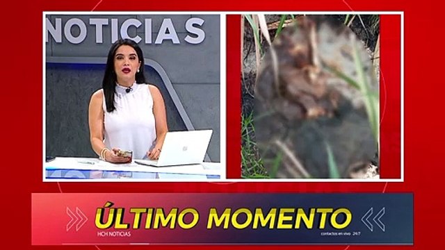 ¡Dantesco! Encuentran osamenta humana a inmediaciones del estadio Olímpico