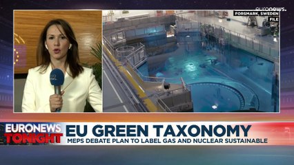 'Tight vote' expected in EU parliament on plan to label gas and nuclear 'green'