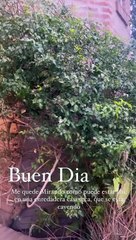 La publicación de Paula Chaves a un día de recordarse el nacimiento de Jazmín De Grazia