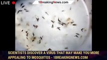 Scientists discover a virus that may make you more appealing to mosquitos - 1breakingnews.com