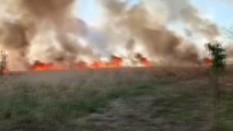 Silivri'de 150 dönüm buğday ekili alan yandı