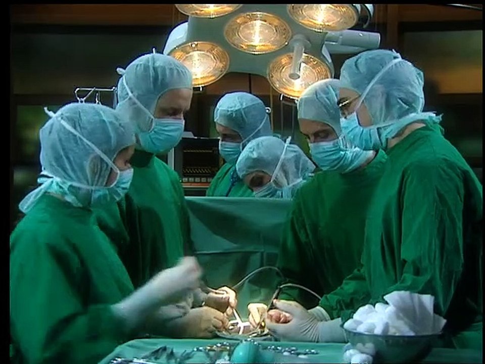 Alphateam - Die Lebensretter im OP Staffel 2 Folge 10