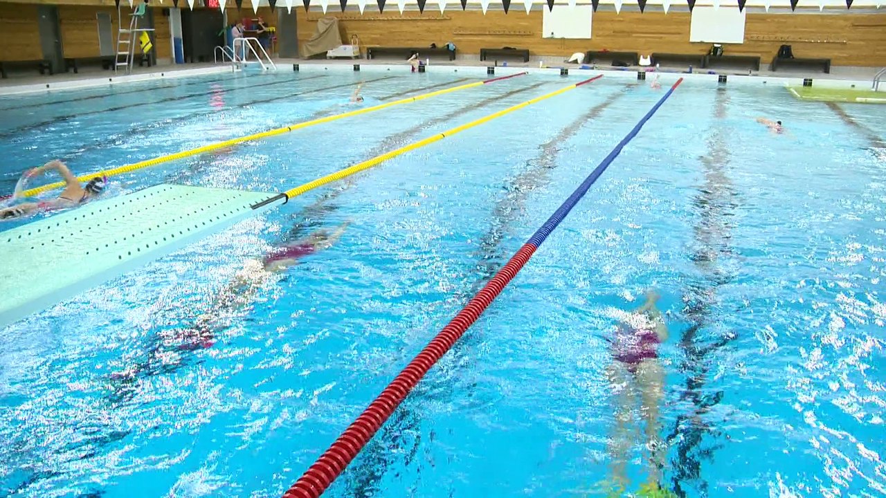 Championnat provincial de natation : les Loups-Marins brillent à Montréal
