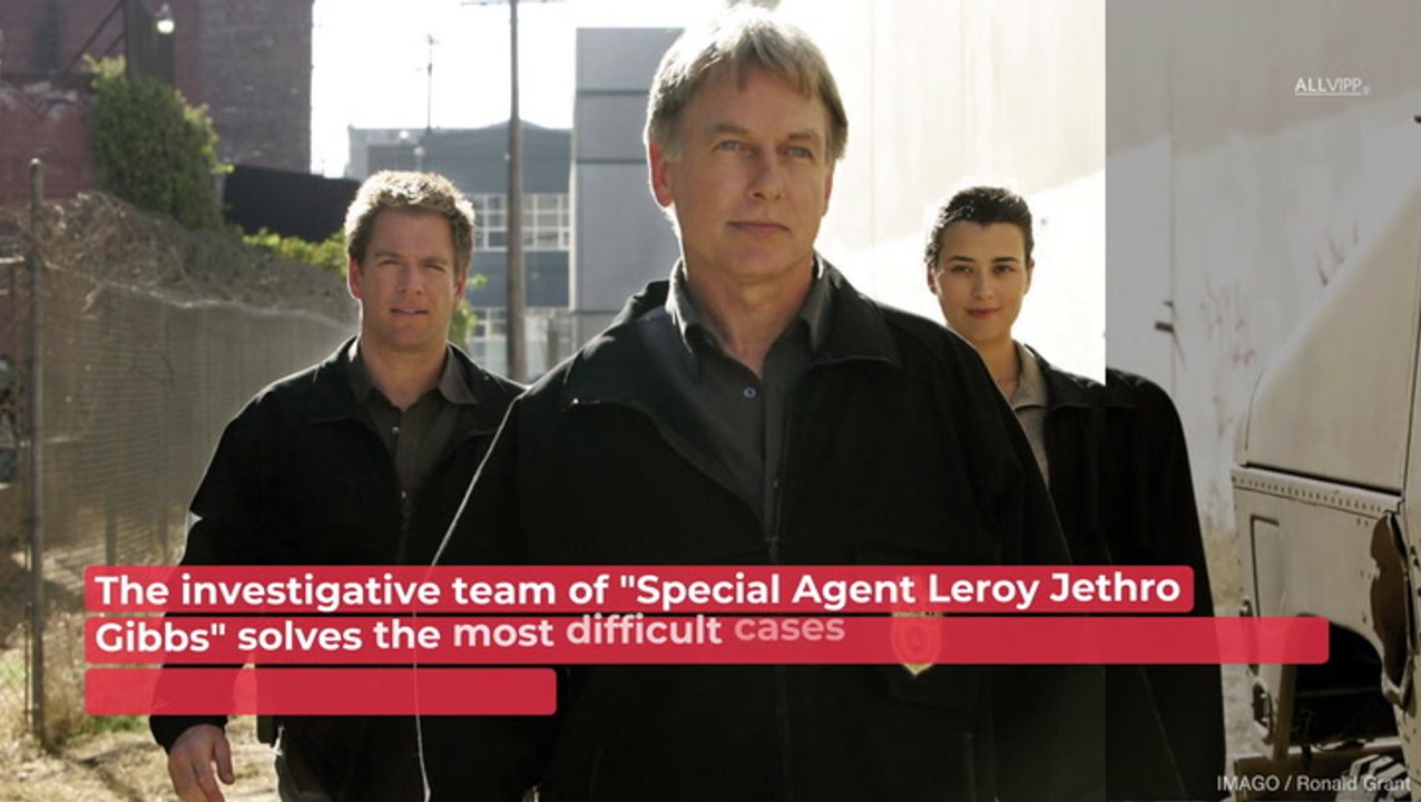 This Is What The 'NCIS' Stars Look Like Young