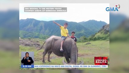 Batang nagdiwang ng kanyang 7th birthday, niregaluhan ng kalabaw | UB