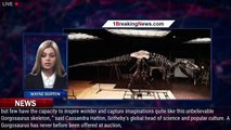 76 million-year-old dinosaur skeleton in 'pristine' condition to be auctioned in NYC - 1BREAKINGNEWS