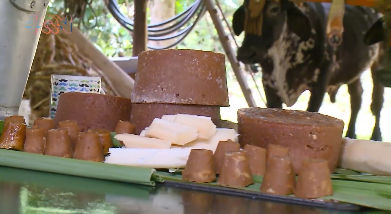 m qn-Comunidad turrialbeña se prepara para fiesta que endulzará a todos los ticos  -140622