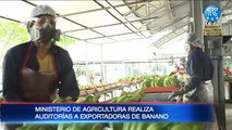 Ministerio de Agricultura realiza auditorías a exportadoras de banano