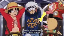 One Piece - Law call Chopper as Raccoon (Funny Moment)