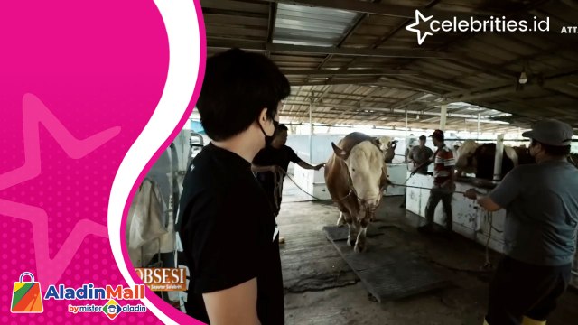 Jelang Idul Adha, Selebritis Bikin Konten Beli Kurban Paling Mahal