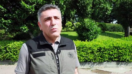 İstanbul ormanlarında "dumansız yangın"la mücadele