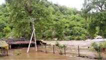 Madhya Pradesh Rains: Incessant rains cause flash floods in Betul | ABP News