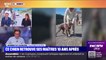 Un chien retrouve ses maîtres en Lozère, 10 ans après avoir disparu dans le Vaucluse